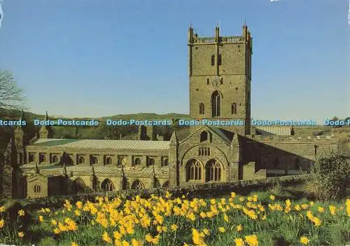 D137240 St Davids Cathedral St Davids Dyfed Dragon Publishing Colourmaster Postc