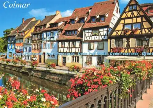 D142259 Colmar Olivier Anger Combier Groupe Editor Haut Rhin 2018