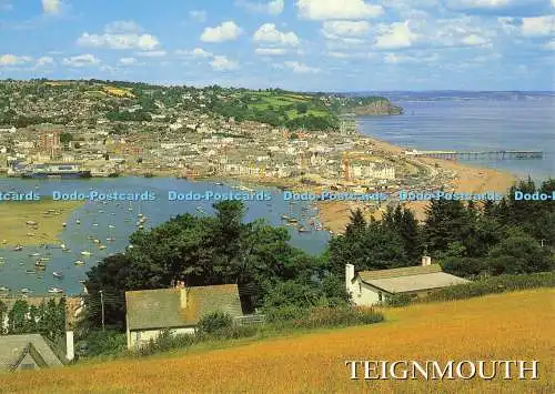 D137384 Teignmouth South Devon Teignmouth von Ness Salmon