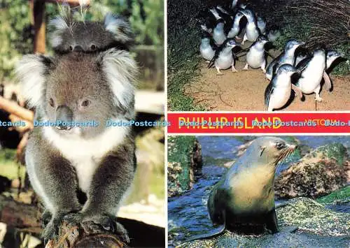 D137408 Phillip Island Victoria Australia Scancolor Multi View