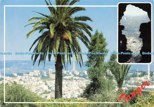 D142677 Maroc Infini Tanger Vue du Mont Washington 1991 Createc 1994 Multi View