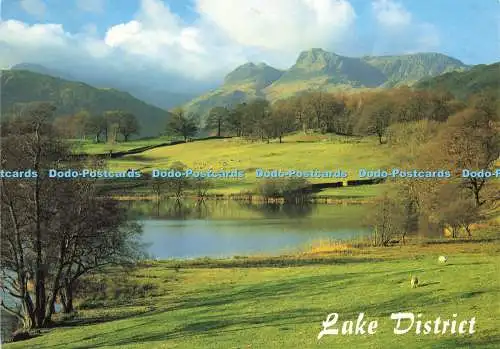 D142696 Lake District Loughrigg Tarn and Langdale Pikes Salmon