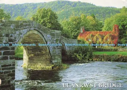 D142699 Llanrwst Bridge North Wales River Conwy Salmon 2011