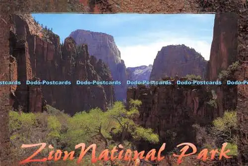 D142811 Zion Nationalpark Tempel Sinwava Great White Thorne Utah Mountain We