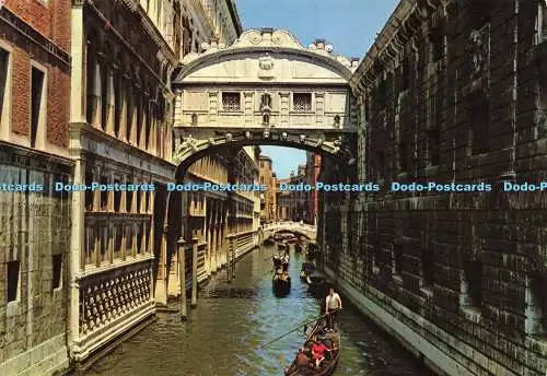 D142895 Venezia Bridge of Sights G F Zerella Co Graf Kodak Ektachrome 1983