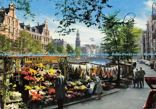 D142896 Amsterdam Holland Blumenmarkt mit Münzturm Schlitten 1973