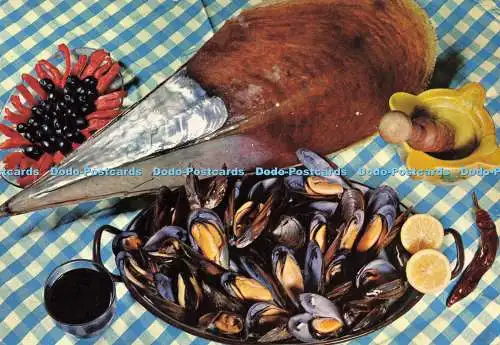 D143013 Cocina Espanola No 155 Mejillones y nacra Vis Color Barcelona