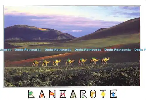 D143021 Lanzarote Ruta a camello Parque Nacional de Timanfaya Ediciones A Murill