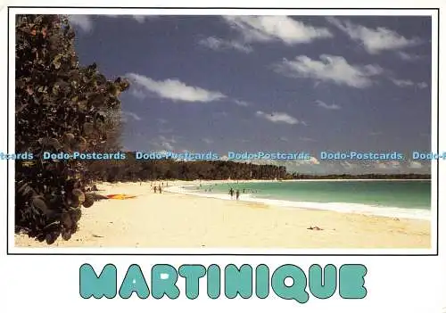 D143122 Martinique Plage des Salines Salines Beach Strand der Salines Editions P