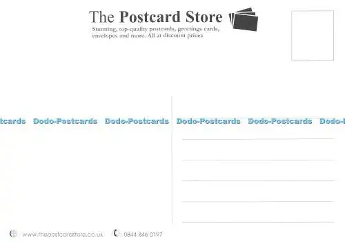 D143317 Blumen Postkartenladen
