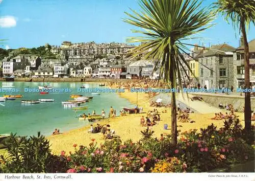 D143357 Harbour Beach St Ives Cornwall Hinde