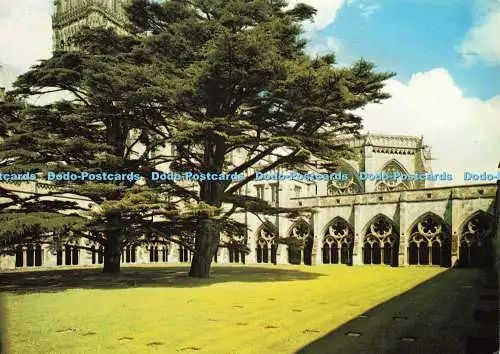 D143386 Salisbury Cathedral Cloisters Wiltshire Dixon