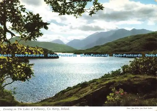 D143395 Abend auf den Seen von Killarney Co Kerry Irland Joan Willis Hinde 1969