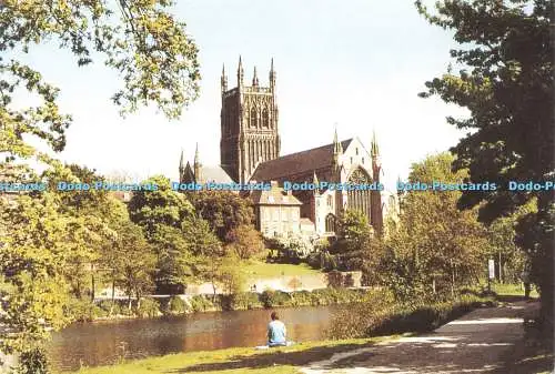 D143396 Worcester Cathedral J R Mason Worcester Cathedral Gift Shop Lithographie