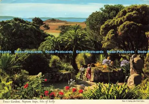 D143398 Tresco Gardens Neptun Steps Isles of Scilly E Ludwig Hinde J H Thomas 1