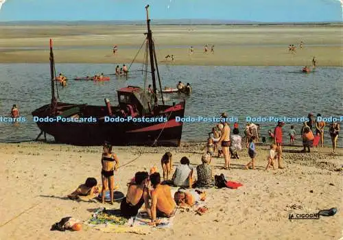 D143457  Le Crotoy 80 La Plage La Cigogne Marco en Baroeul 1980