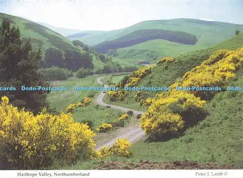 D143537 Harthope Valley Northumberland Peter J Lamb Age Concern Nordengland