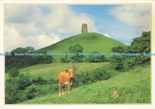 D143542 Glastonbury Tor Somerset Peter Baker Dixon