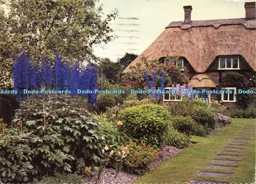 D143550 Delphiniums Hampshire Federation of Womens Institutes 1974