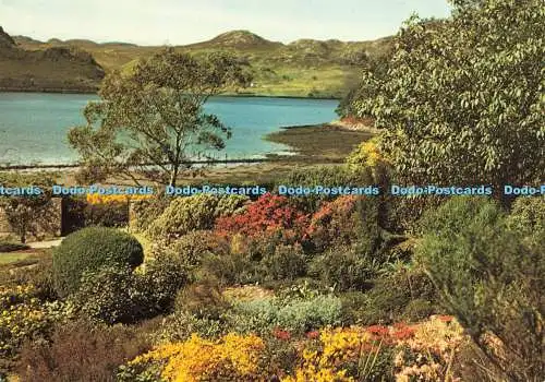 D143627 Loch Ewe von Inverewe Garden Ross shire National Trust for Scotland Inv