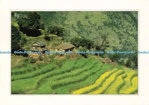 D143719 Nepal Artcard Himalaya Galen Rowell Pilgerbuch Haus Thamel Kathmandu
