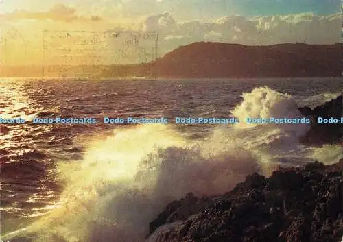 D143902 22821 Paysages Mediterraneens La mer en colere assaille les rochers 1983