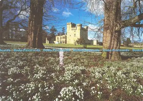 D143933 Belsay Hall Castle and Gardens Northumberland English Heritage Photo Lib