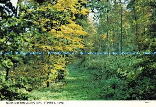D143938 Queen Elizabeth Country Park Petersfield Hants 7722 Bennett Publications
