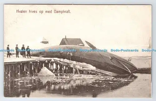 R779363 Hvalen Hives op Med Dampkraft A Kallands