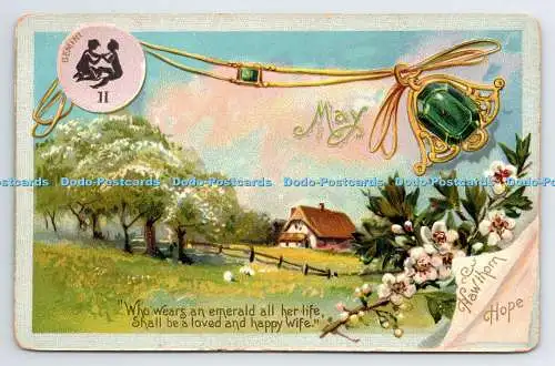 R778584 Mai Weißdorn Hoffnung Zwillinge Blumen Stecken Gefühle des Monats Geburtstag