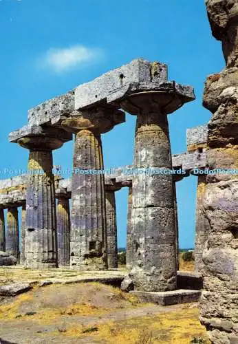 D192102 Paestum The So Said Basilic Interior Fotorapidacolor Kodak Ektachrome