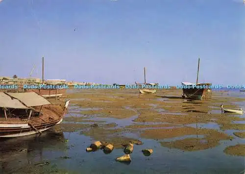 D197761 At Moharaq M Shakib Agfa No 72