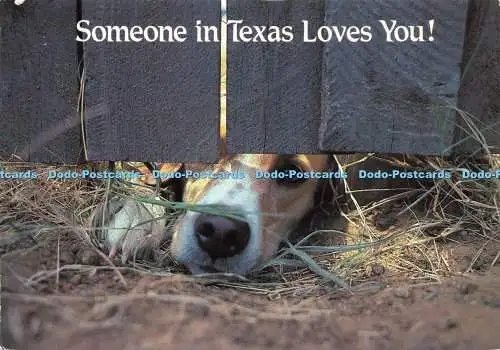 D195187 Jemand in Texas liebt dich Texas Postkarte Michael Witzel 1994