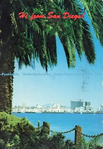 D198470 Hi aus San Diego Kalifornien Eine Hafeninsel-Palme umrahmt die Schönheit
