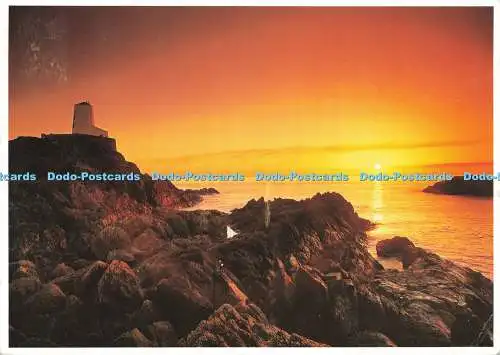 D200132 Llanddwyn Island at Sunset Dave Newbould 2004