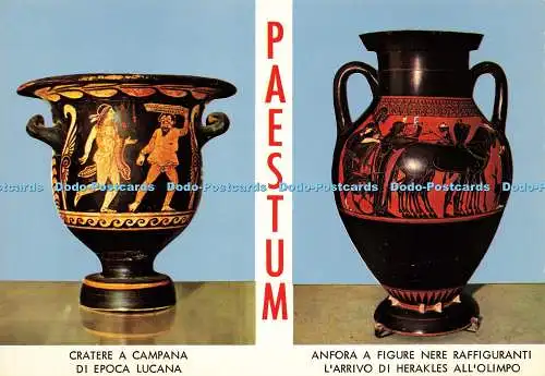 D200287 Paestum Amphore mit schwarzen Bildern, die die Ankunft von Herakles i