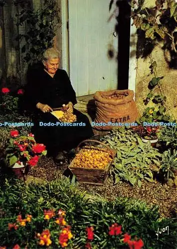 D198697 Couleurs et Lumiere de France En Perigord Pays des Truffes et des Chatea