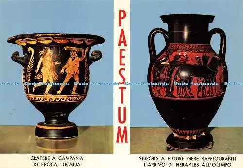 D200295 Paestum-Amphore mit schwarzen Bildern, die die Ankunft von Herakles i