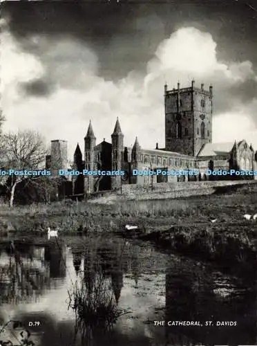D198841 St Davids The Cathedral Studio Jon