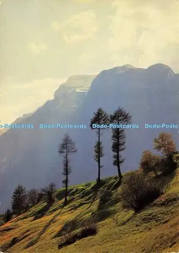 D194052 Spiel des Lichts Im Gschnitztal K Defner Dr A Defner Igls bei Innsbruck