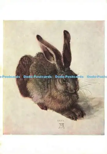 D196193 Galerie Hase Pallas Albertina Sammlung Albrecht Dürer