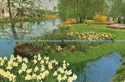D196967 Lisse Holland Keukenhof Planeta 1963