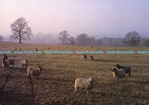 D202033 And Time Stood Still Dalescapes David Green