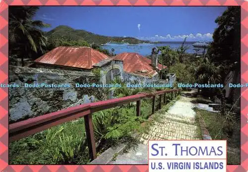 D202444 Amerikanische Jungferninseln St Thomas Jungferninseln Postkarte John Hinde Don Herb