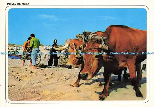 D202615 Praia De Mira Ancora