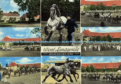 D202992 Westf Landgestut Warendorf Ems Jakob Krapohl Multi View