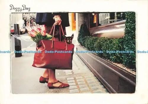 D204223 Doggy Bag Hush Puppies Graham Cornthwaite 1994