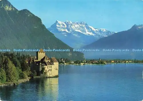 D204268 Lumieres et Couleurs sur le Lac Leman Chateau de Chillon et Dents du Mid
