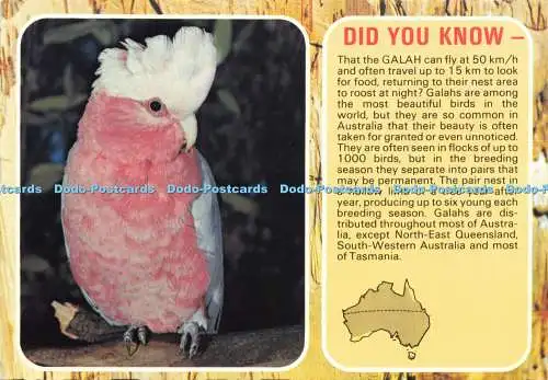 D204271 Galah Murray Views 1987