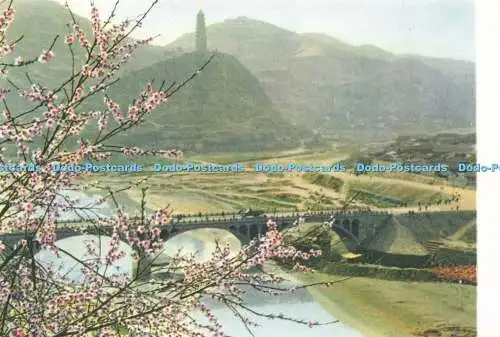 D204294 Blick auf die Brücke